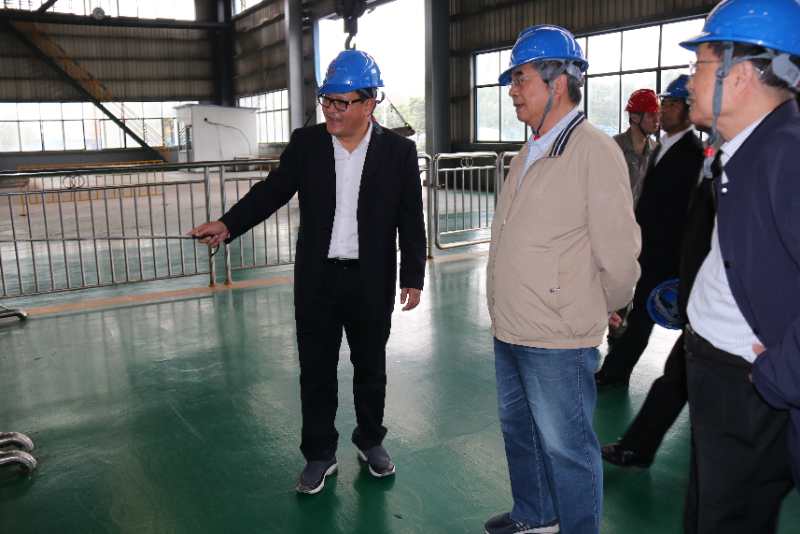 中国科学院原副院长杨柏龄、曹春晓院士一行莅临我司调研领导